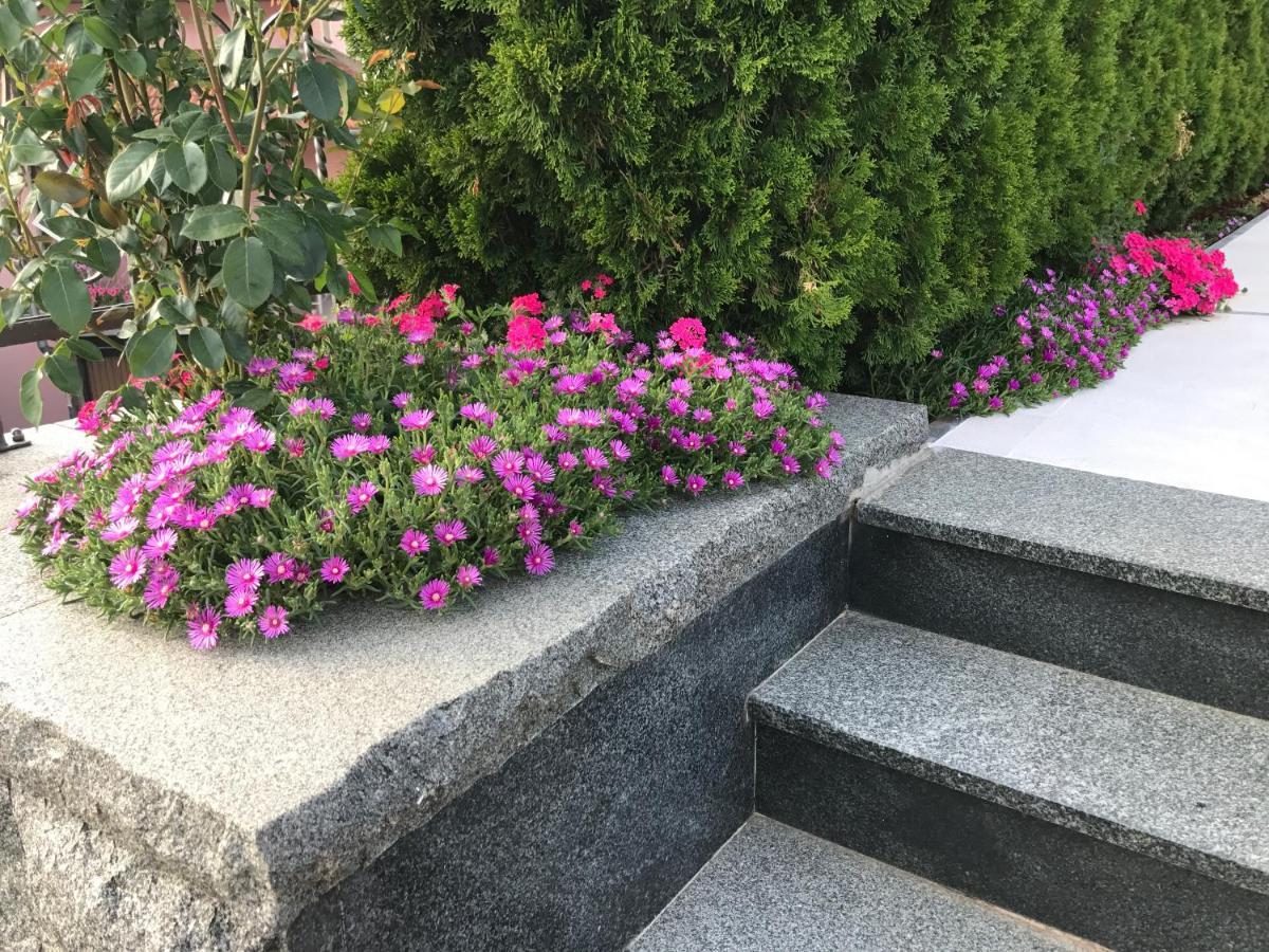 Villa Bajrovic SJJ Buitenkant foto
